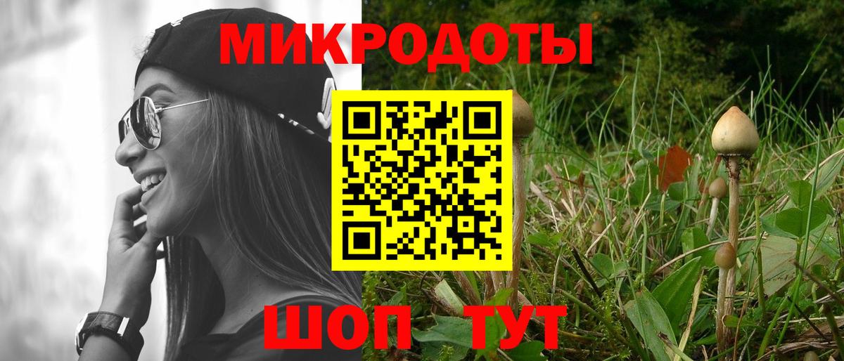 Галлюциногенные грибы Cubensis Кызыл