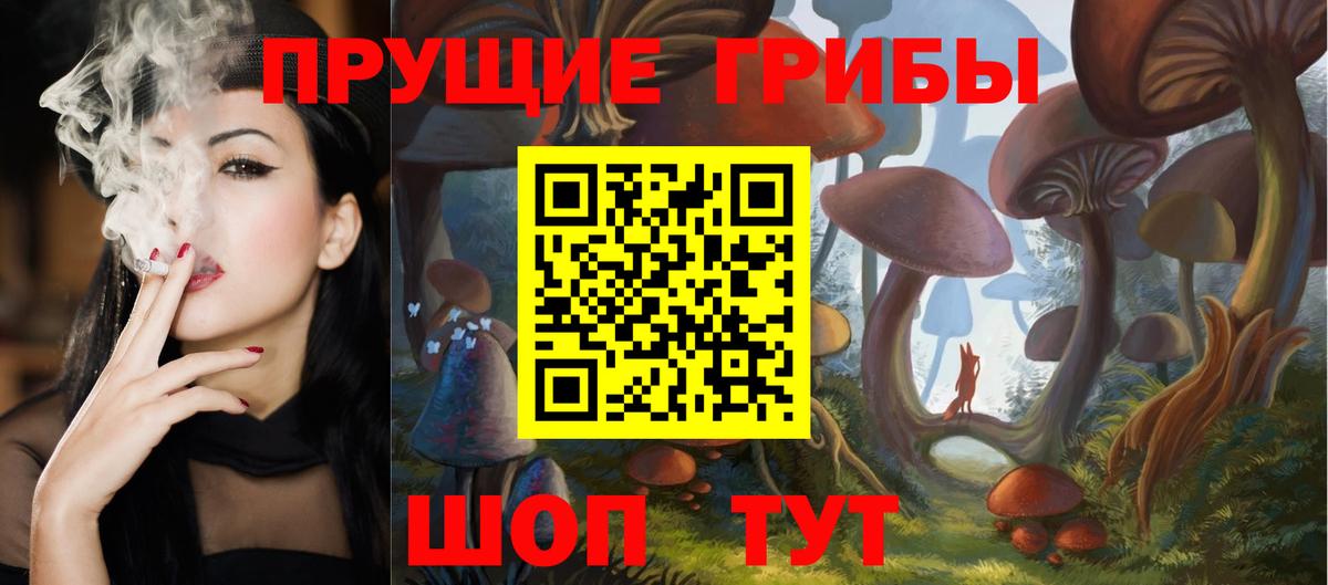 Кызыл  хочу   Вход с VPN  Псилоцибиновые грибы MAGIC MUSHROOMS 